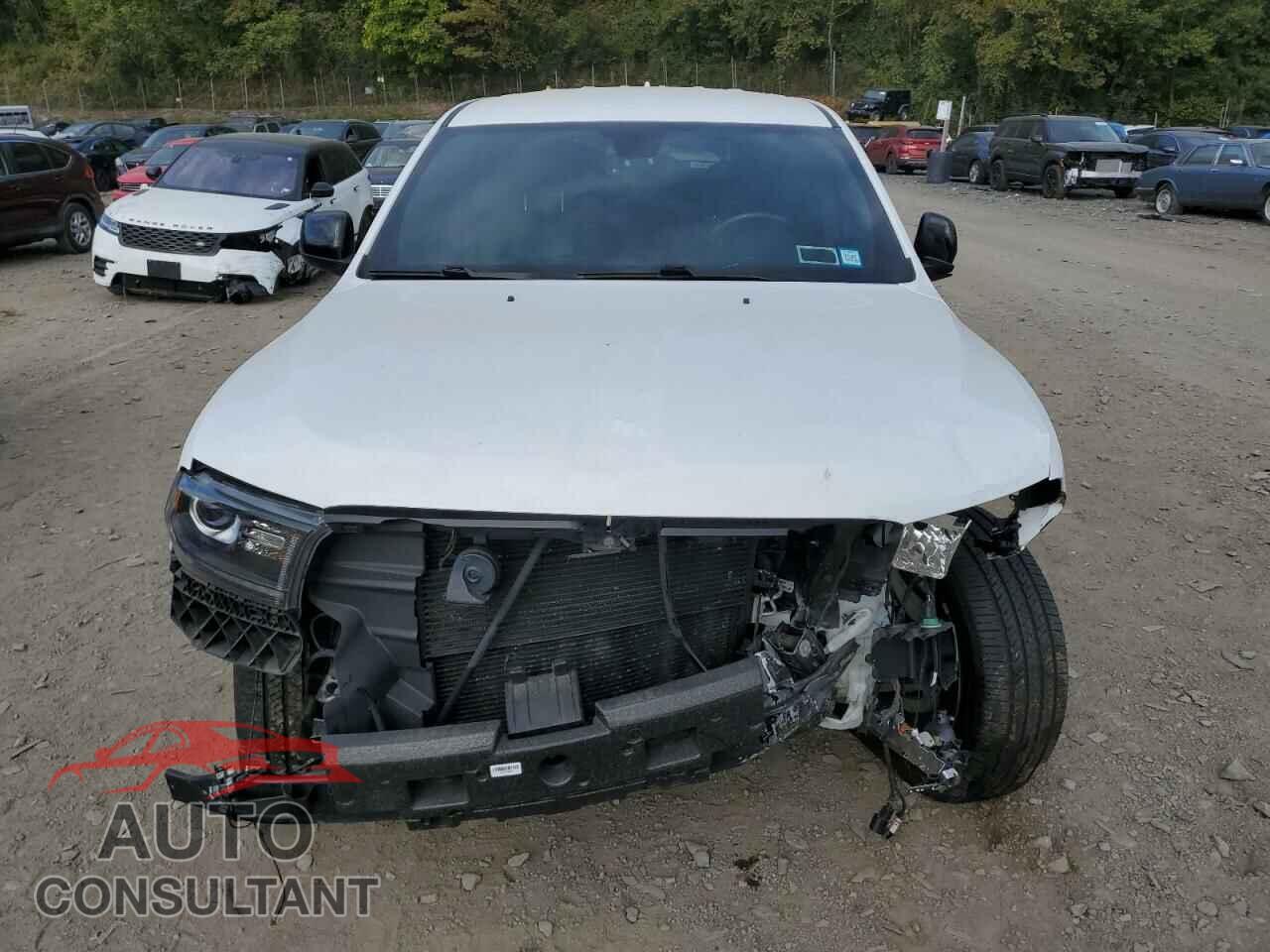 DODGE DURANGO 2020 - 1C4RDJDG7LC269690
