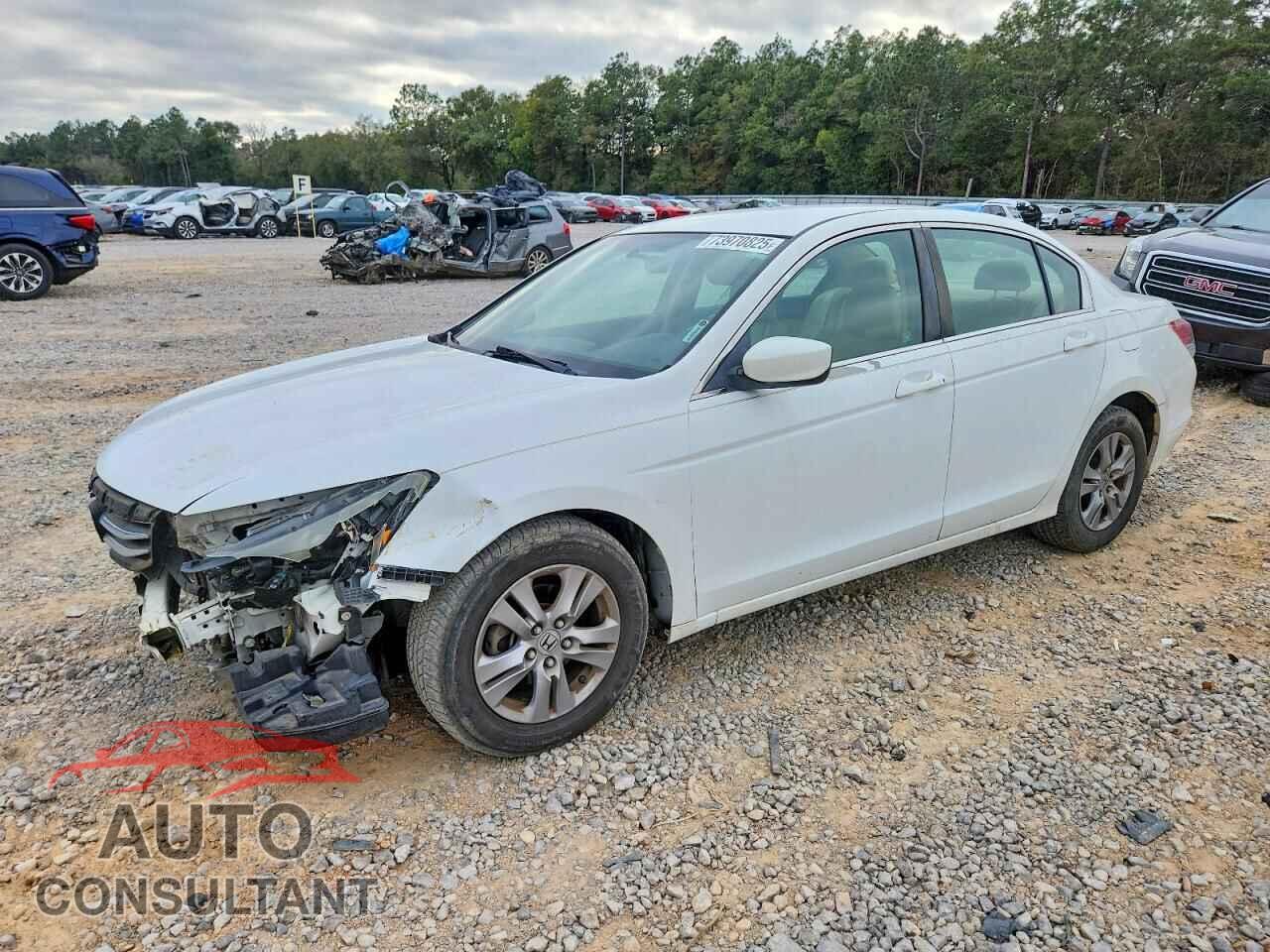 HONDA ACCORD 2011 - 1HGCP2F61BA049531