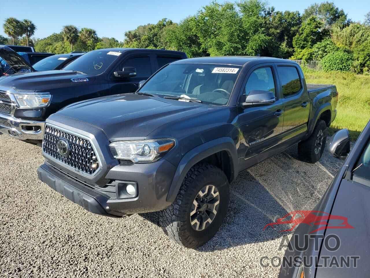 TOYOTA TACOMA 2019 - 3TMCZ5AN5KM257231