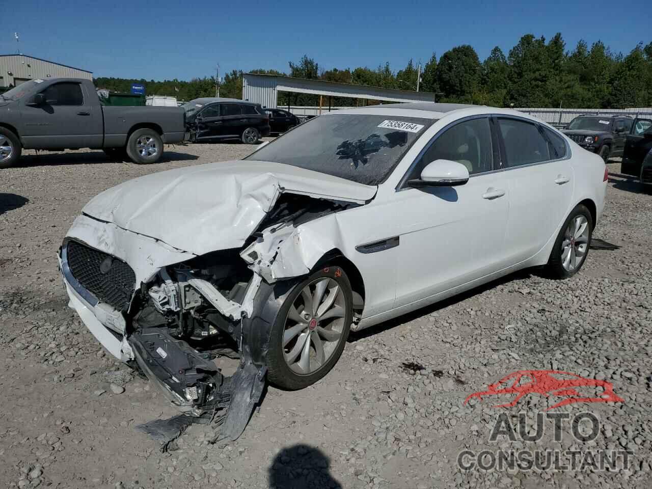 JAGUAR XF 2019 - SAJBJ4FX0KCY76653