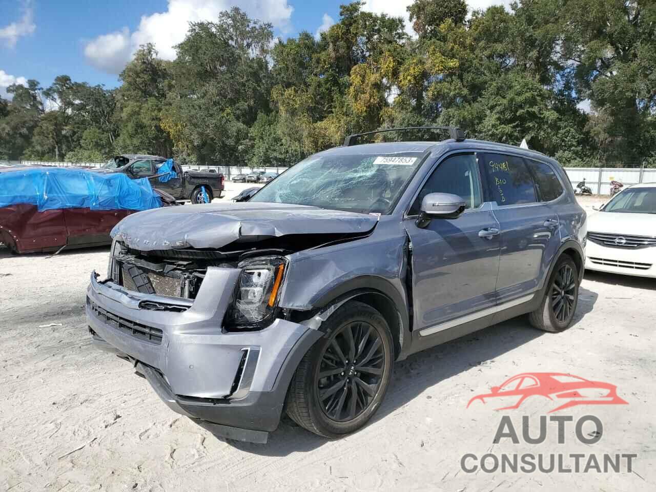 KIA TELLURIDE 2021 - 5XYP5DHC9MG095437