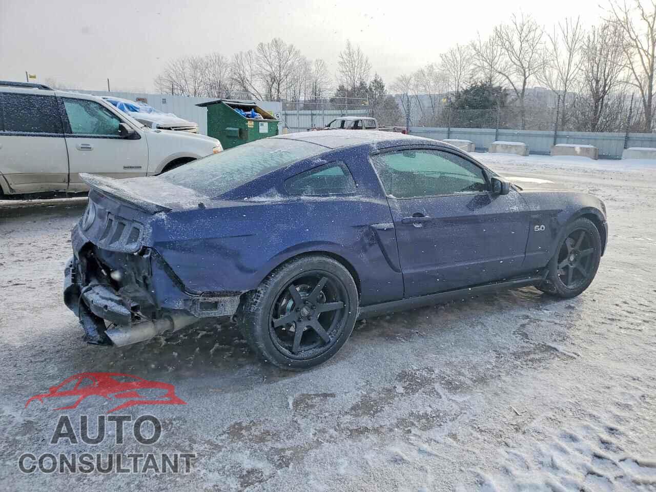 FORD MUSTANG 2011 - 1ZVBP8CF9B5133653