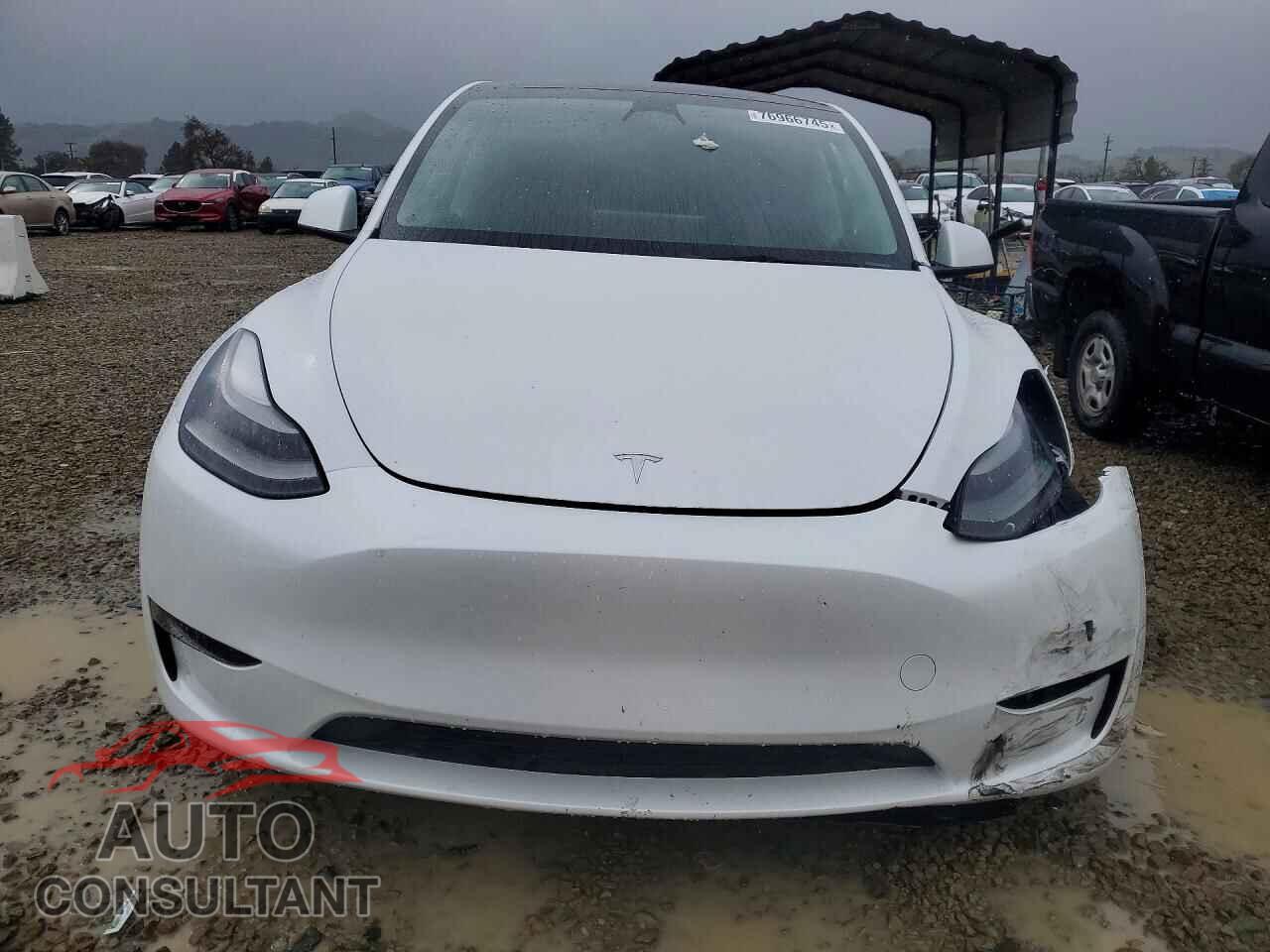 TESLA MODEL Y 2023 - 7SAYGDEEXPF667439