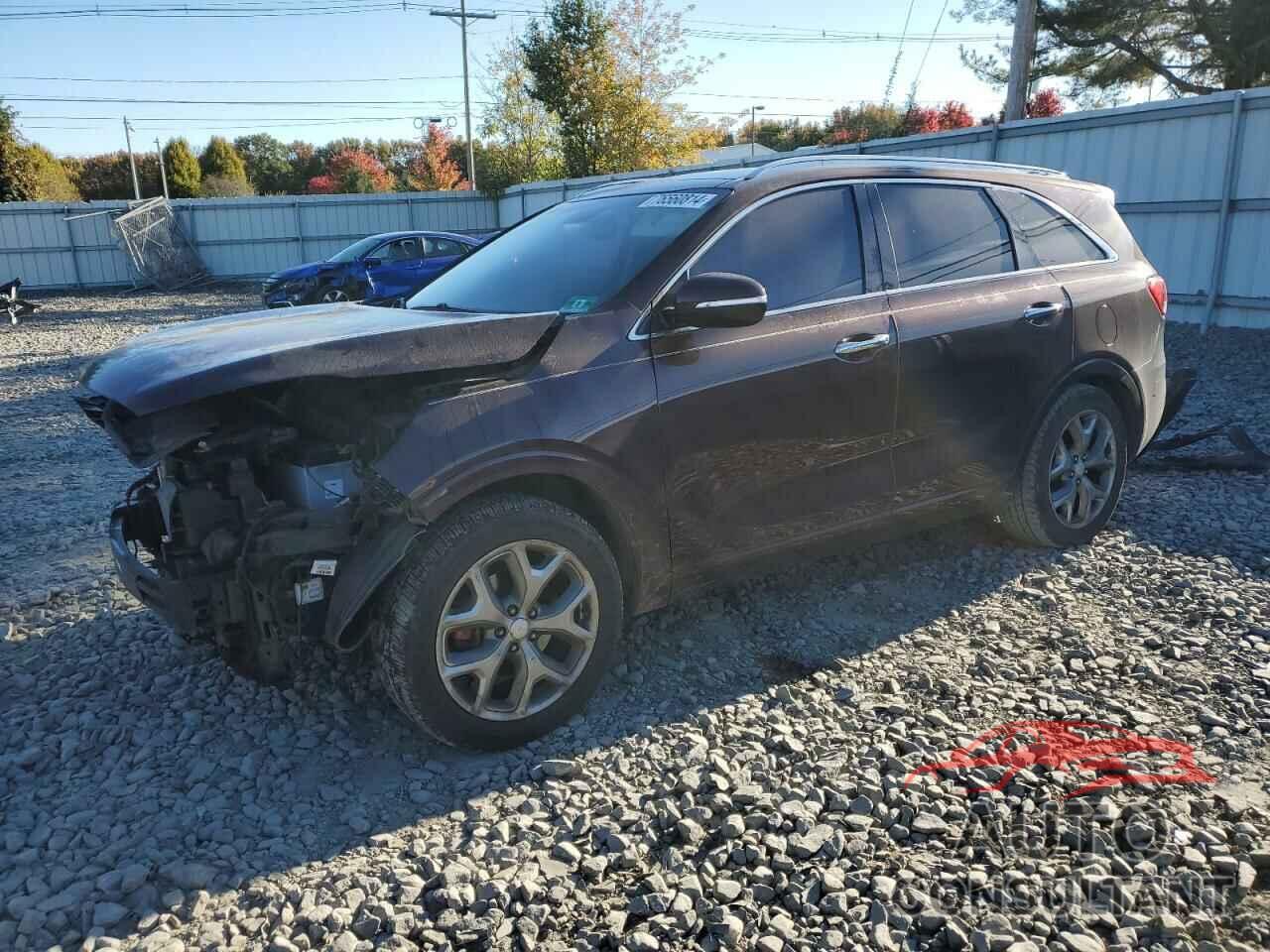 KIA SORENTO 2016 - 5XYPK4A51GG073716