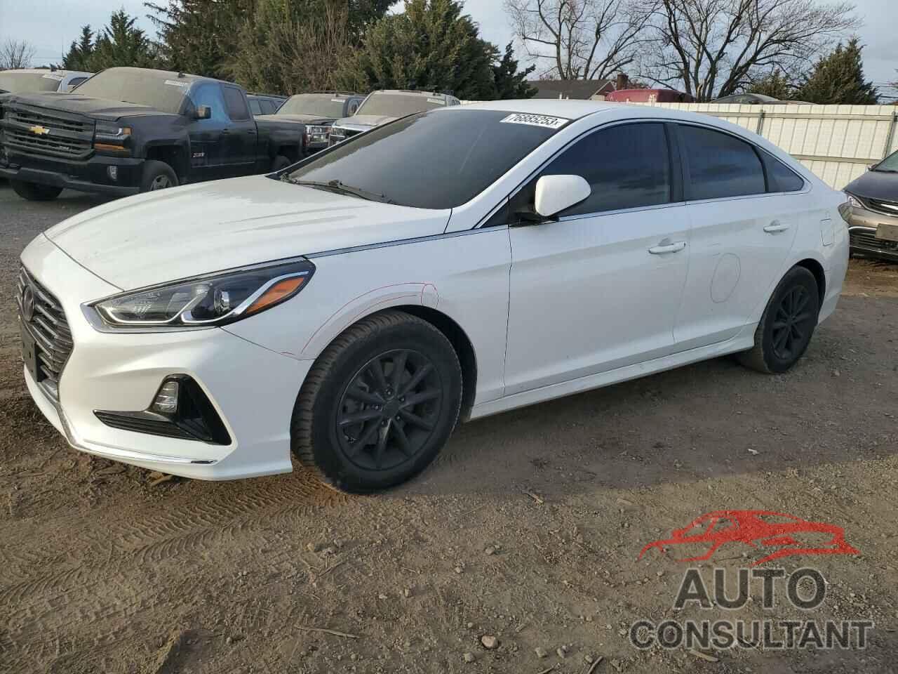 HYUNDAI SONATA 2019 - 5NPE24AF9KH782511
