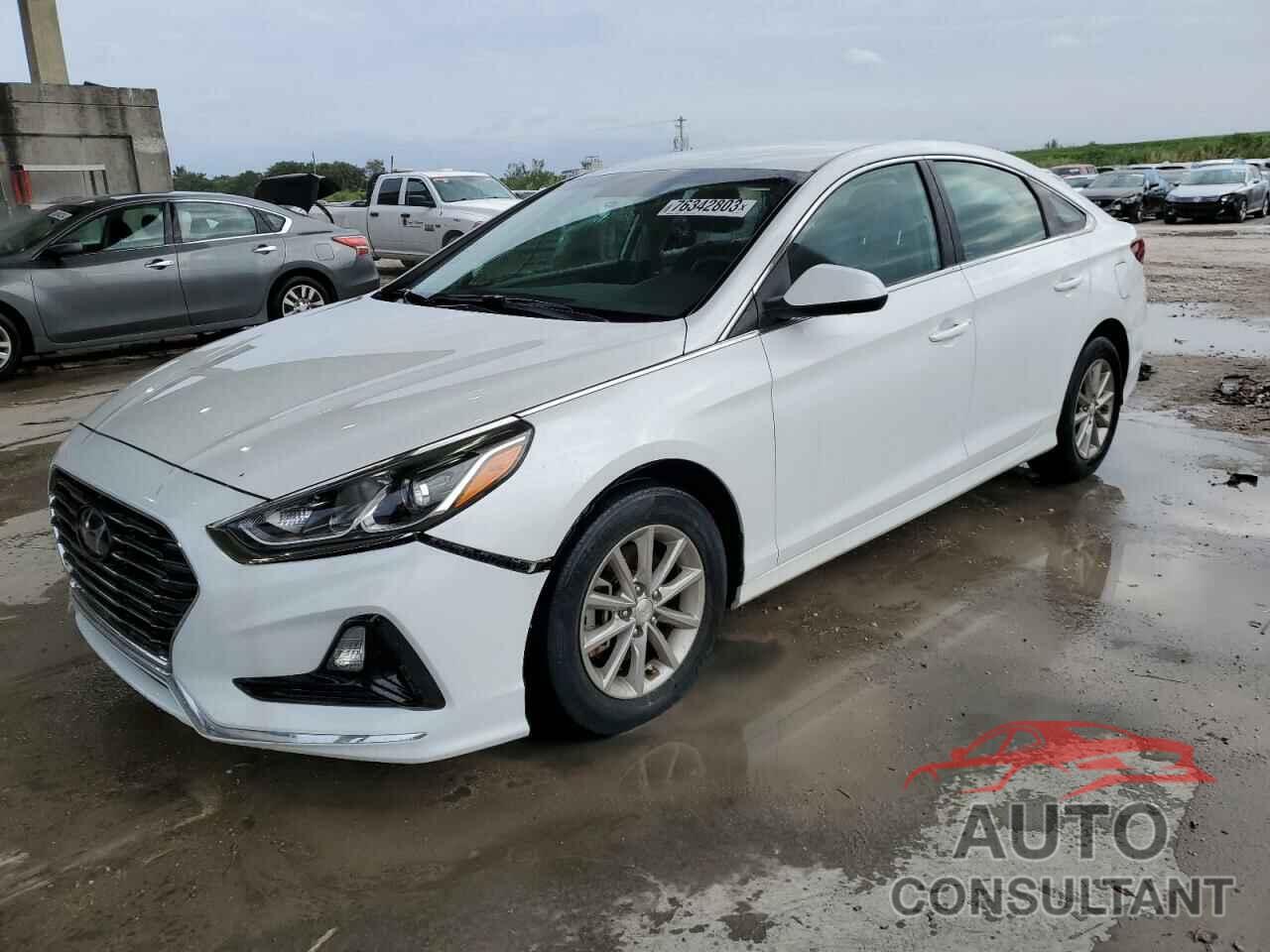 HYUNDAI SONATA 2019 - 5NPE24AF6KH745349
