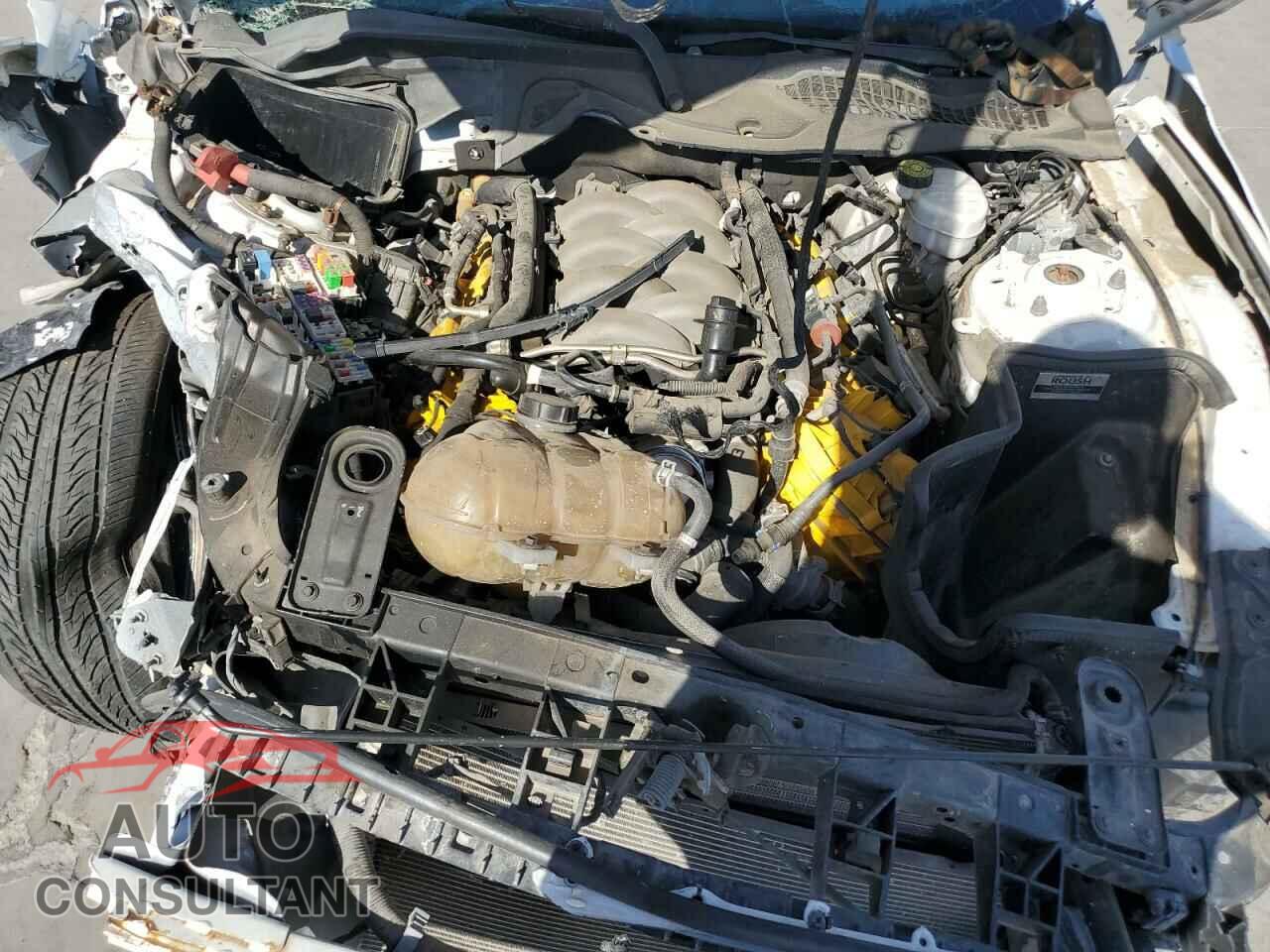 FORD MUSTANG 2019 - 1FA6P8CF5K5168670
