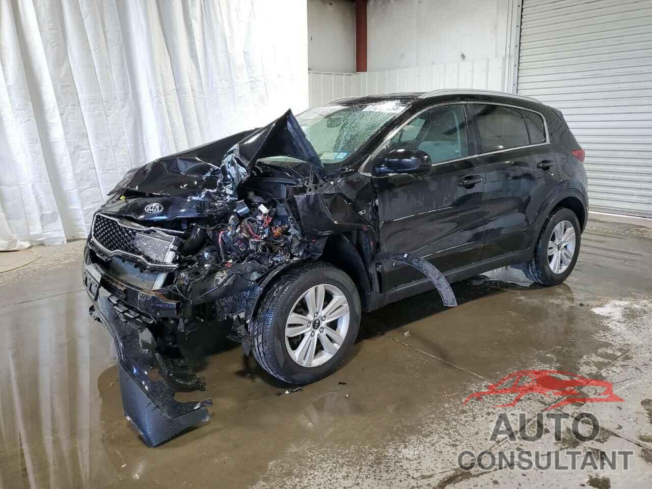 KIA SPORTAGE 2017 - KNDPMCAC0H7293575