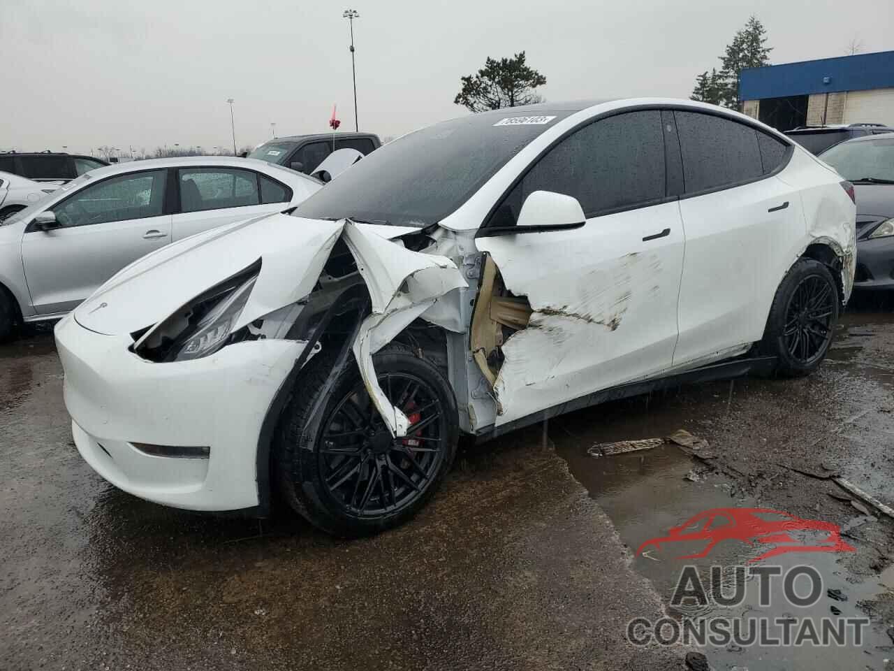TESLA MODEL Y 2021 - 5YJYGDEE5MF138263