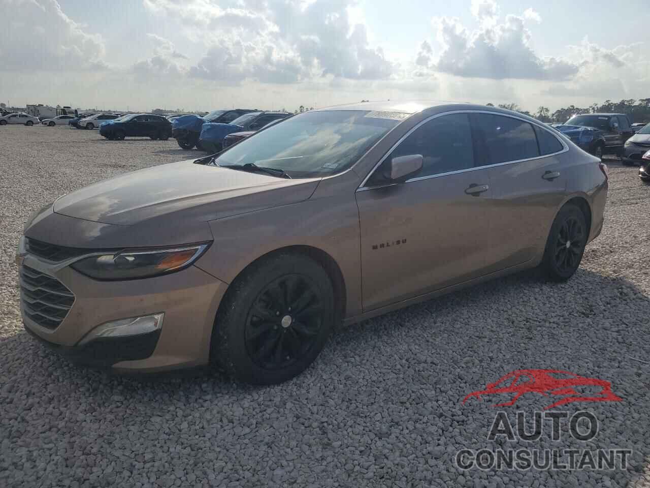CHEVROLET MALIBU 2019 - 1G1ZD5ST4KF133725