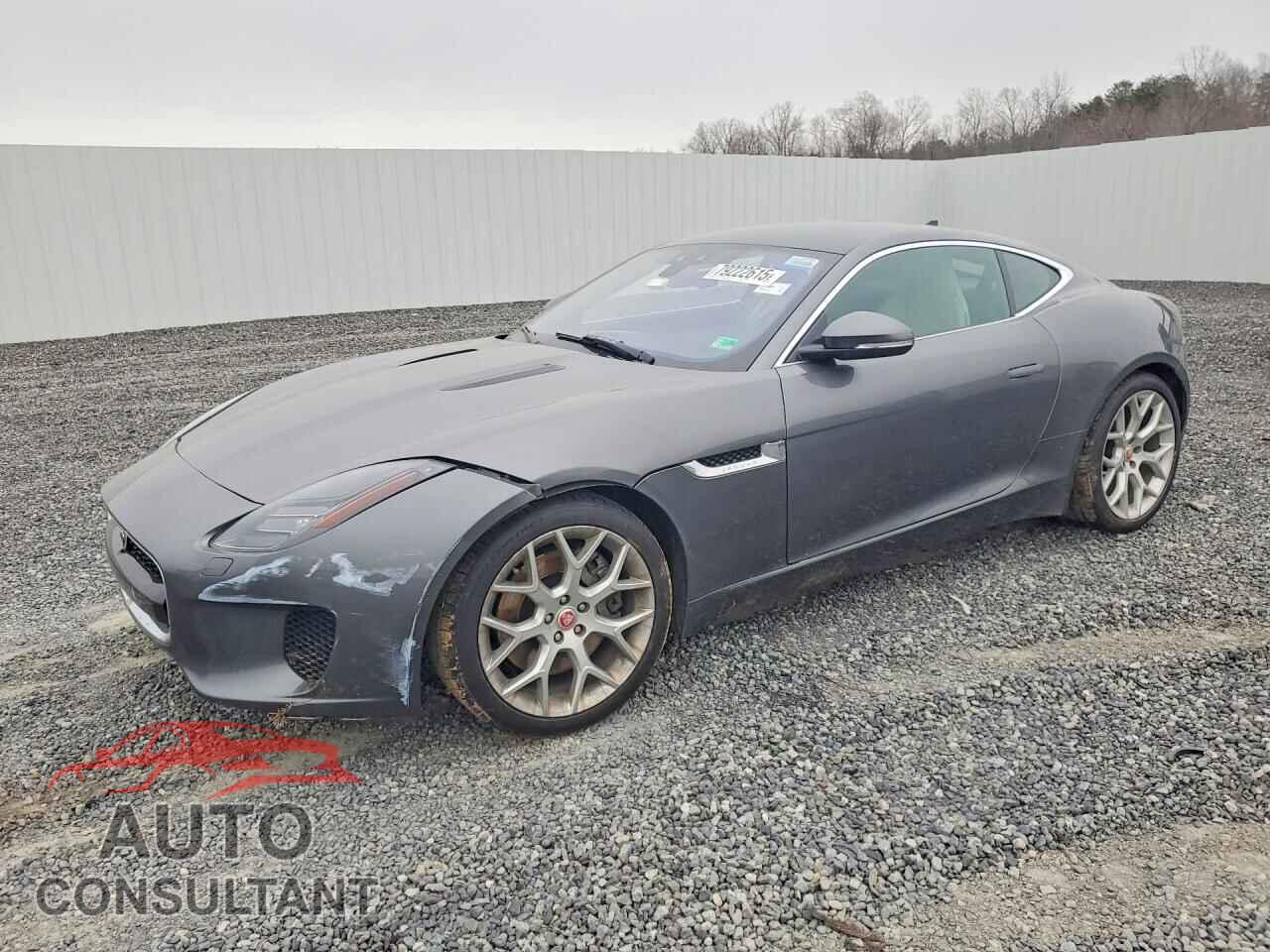 JAGUAR F-TYPE 2019 - SAJDD1GX9KCK61225
