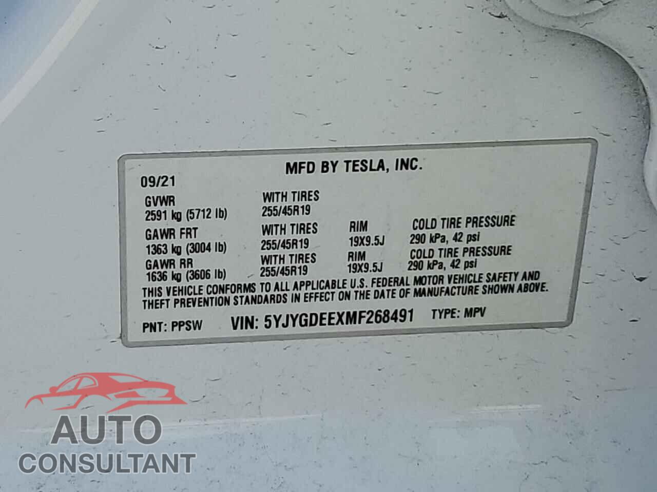 TESLA MODEL Y 2021 - 5YJYGDEEXMF268491