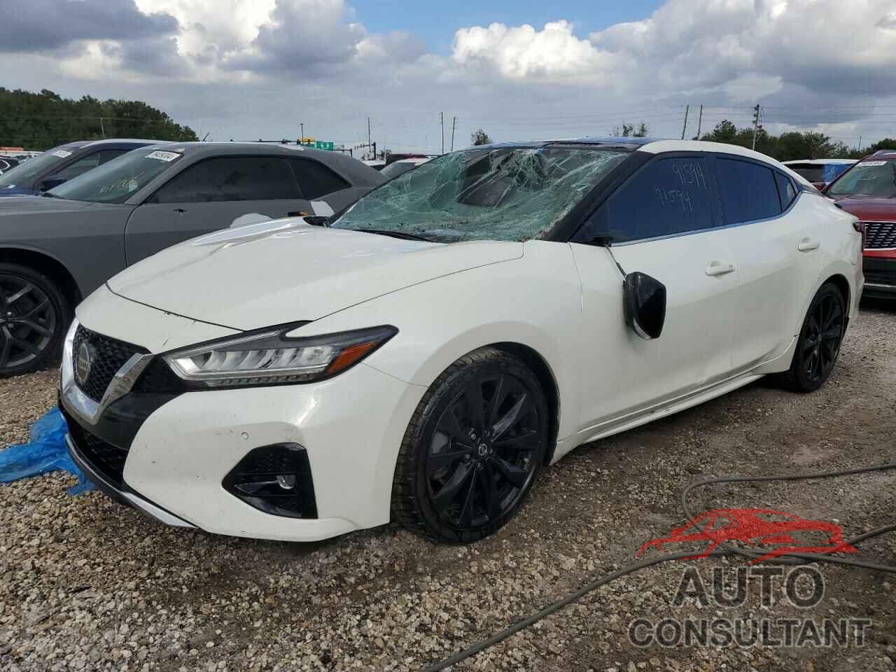 NISSAN MAXIMA 2019 - 1N4AA6AV4KC379235