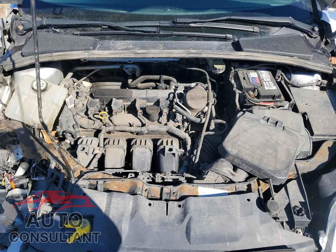 FORD FOCUS 2014 - 1FADP3F26EL142811