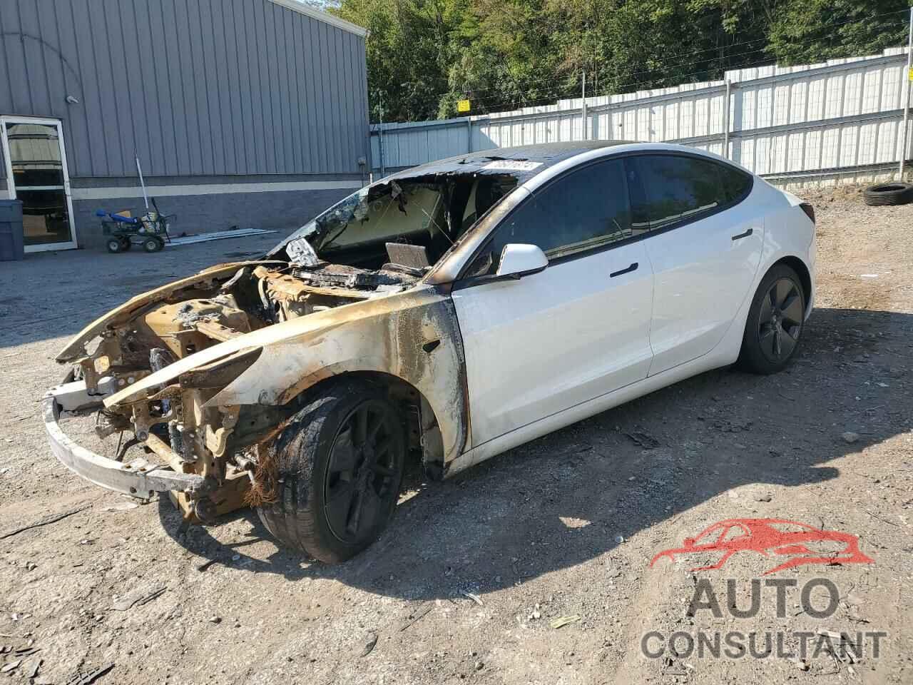 TESLA MODEL 3 2021 - 5YJ3E1EA5MF082580
