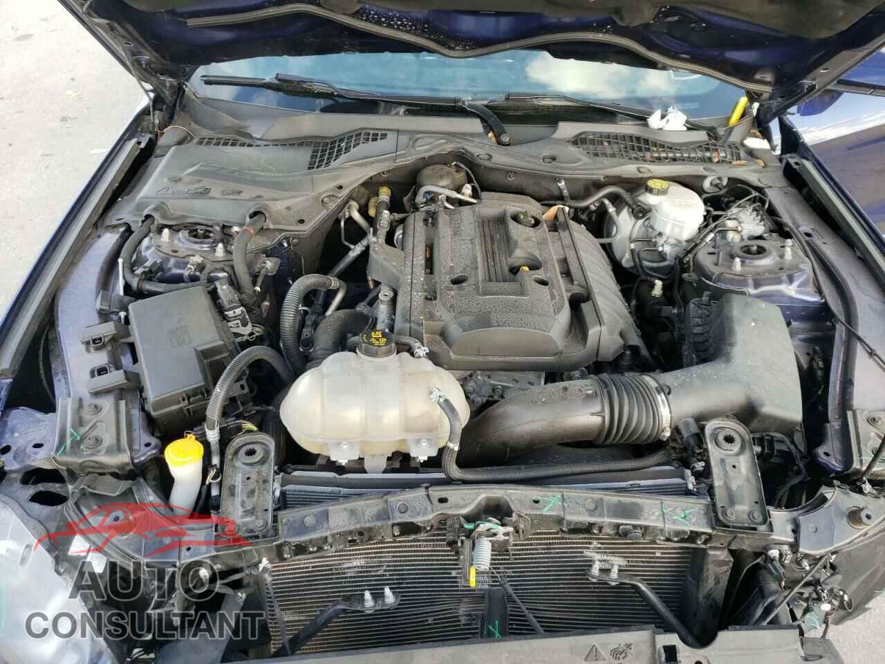 FORD MUSTANG 2019 - 1FA6P8TH0K5117191