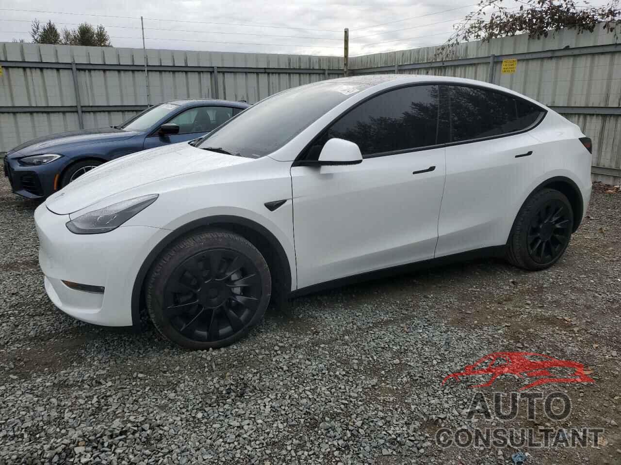 TESLA MODEL Y 2023 - 7SAYGDEEXPF807215