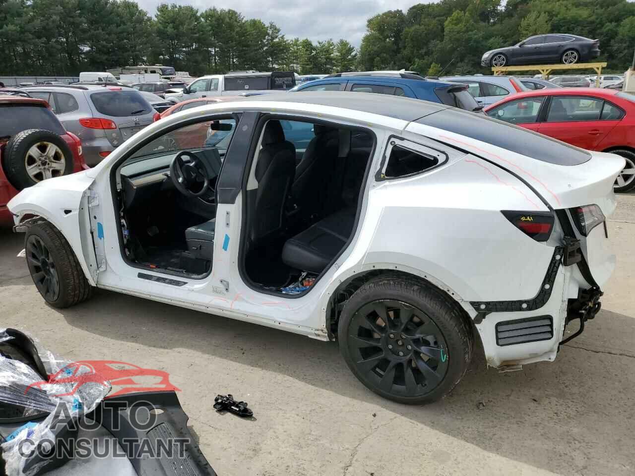 TESLA MODEL Y 2021 - 5YJYGDEEXMF088542