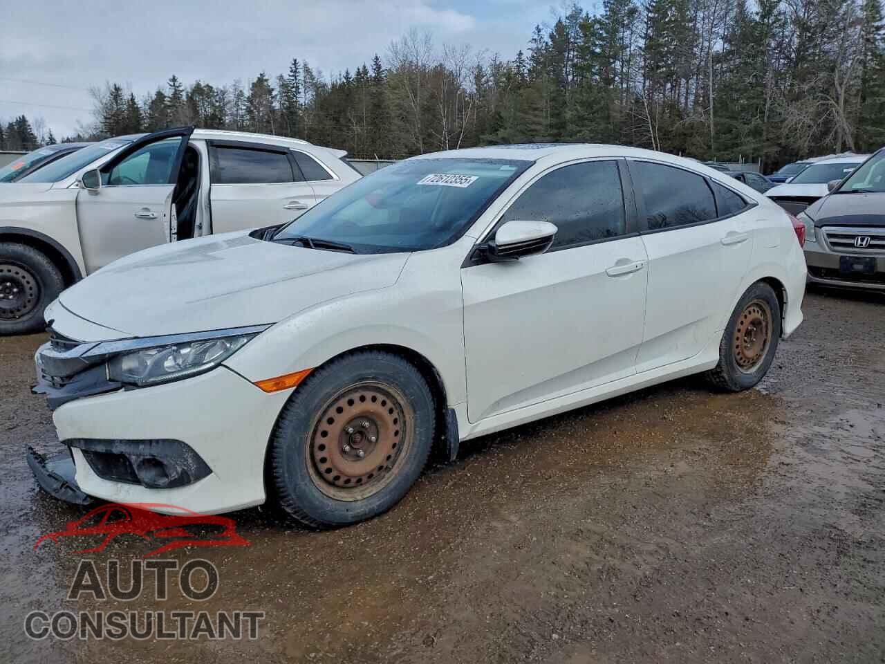 HONDA CIVIC 2017 - 2HGFC2F84HH041086