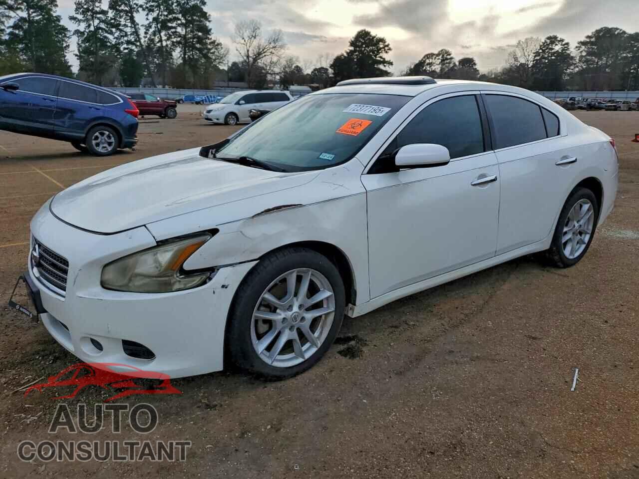 NISSAN MAXIMA 2011 - 1N4AA5AP2BC831601