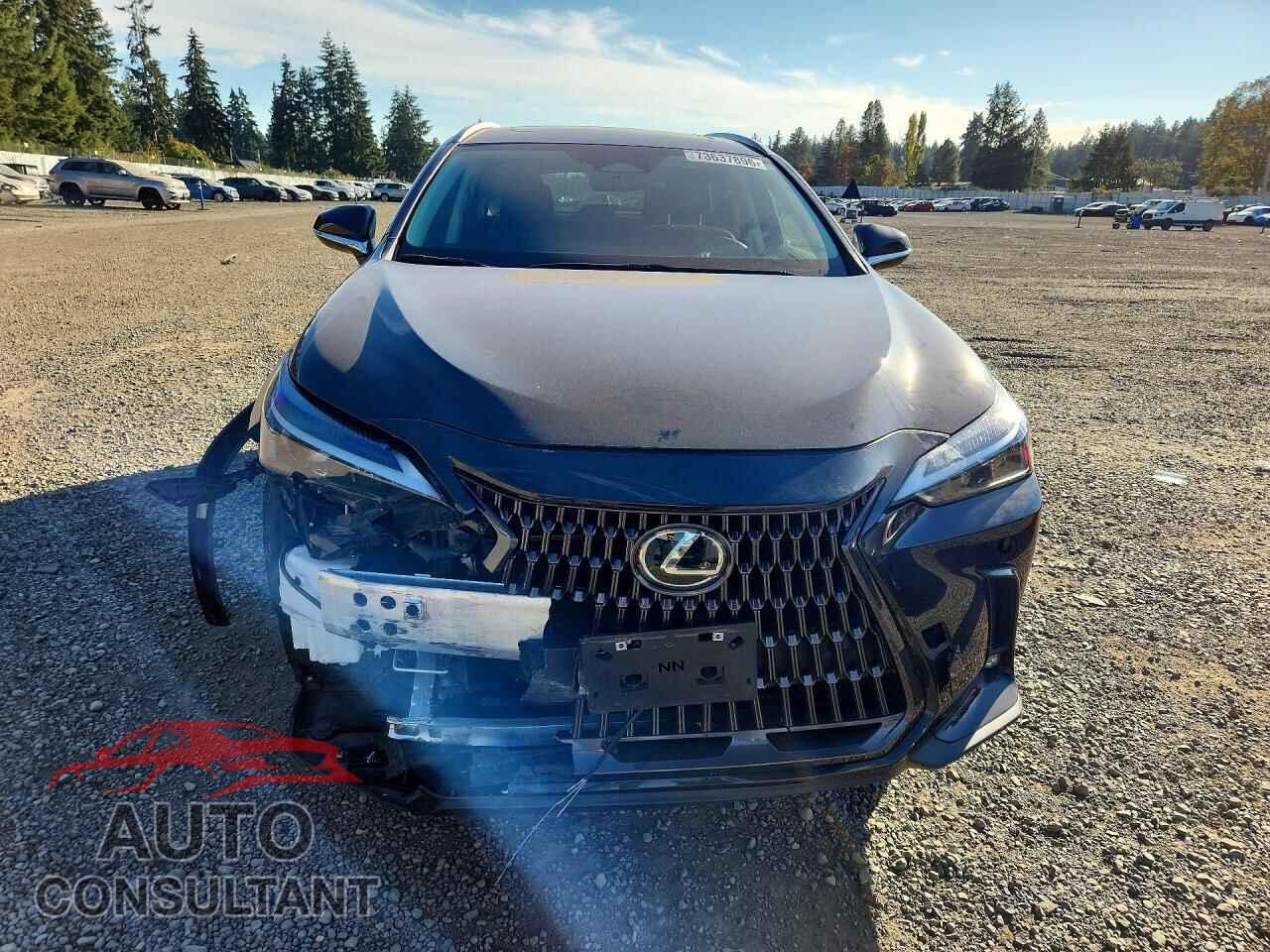 LEXUS NX 2023 - 2T2GKCEZ6PC015499