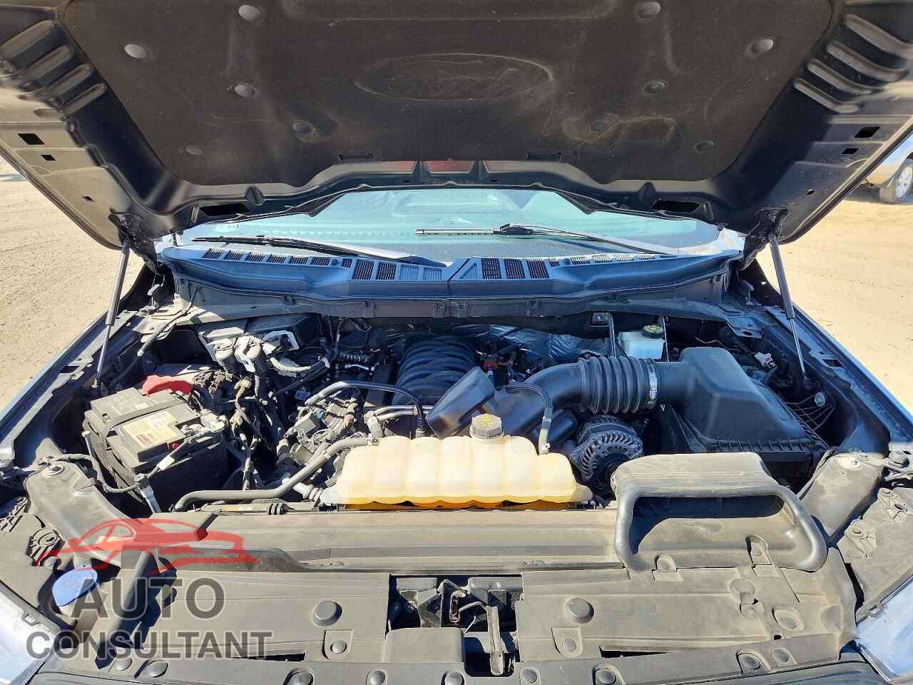 FORD F150 2021 - 1FTFW1E54MKF09585