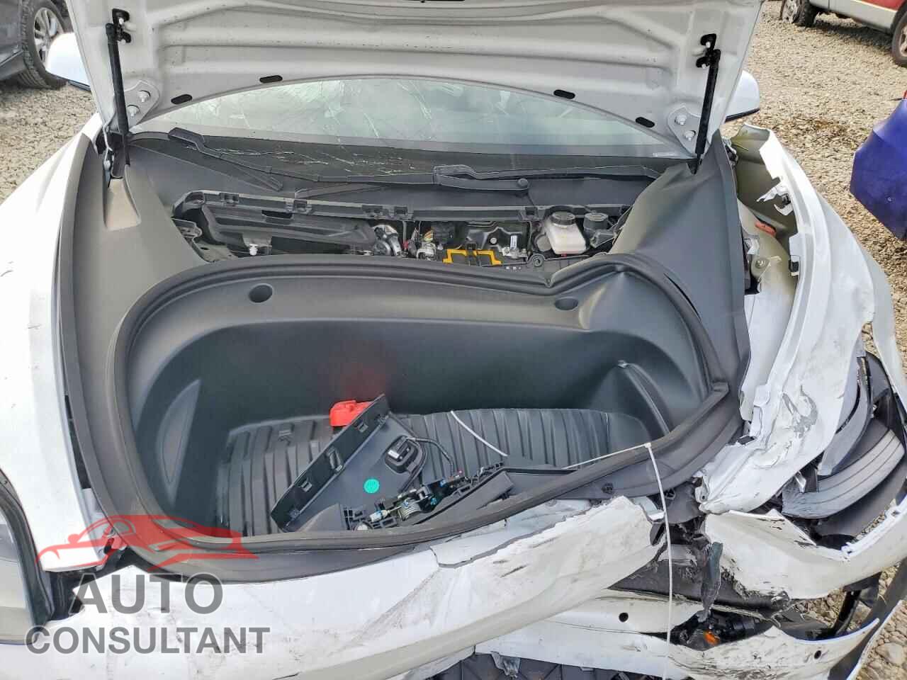TESLA MODEL 3 2021 - 5YJ3E1EA5MF871862