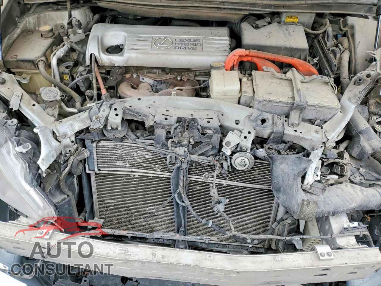LEXUS HS 2010 - JTHBB1BA9A2018807