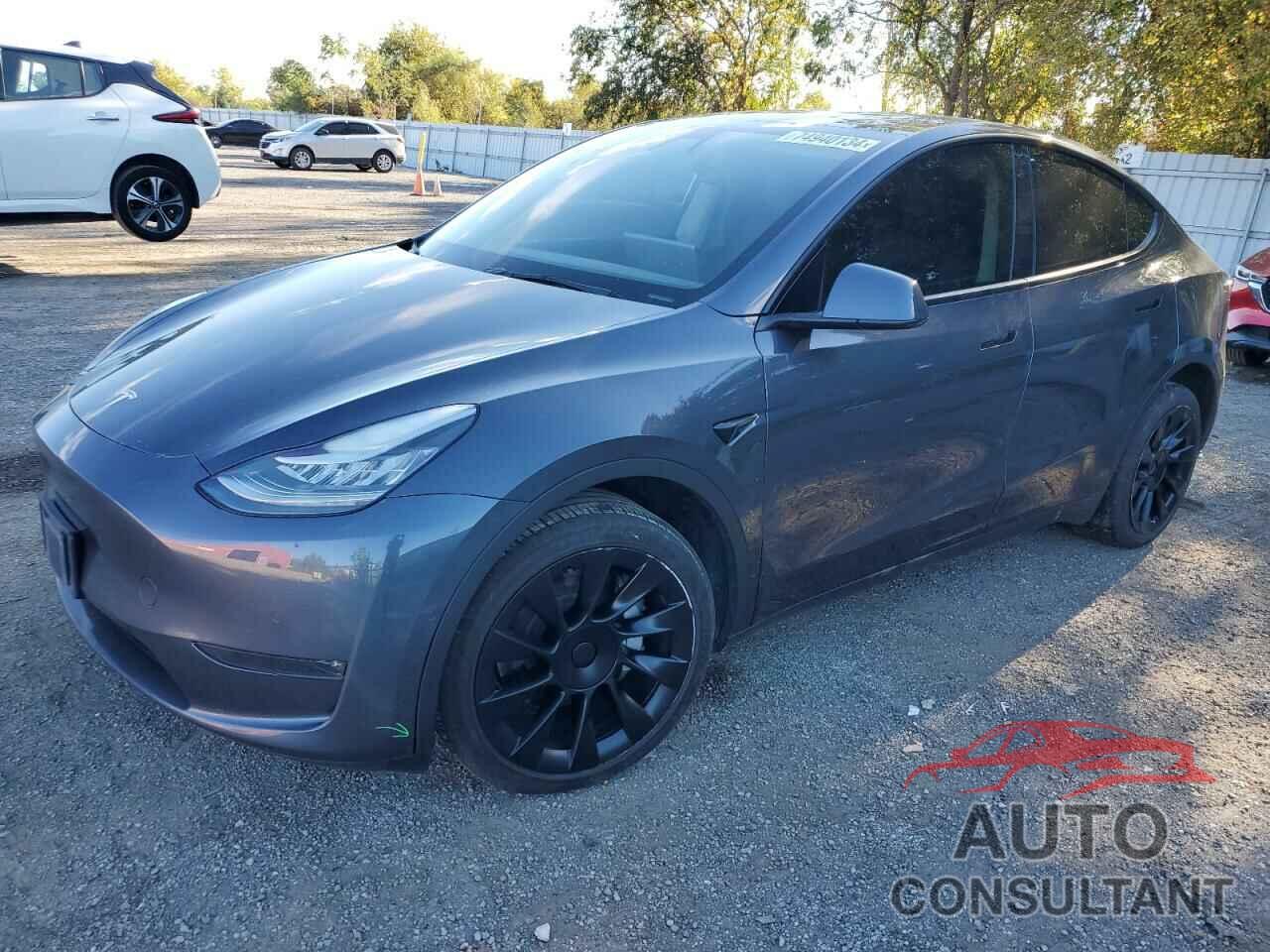 TESLA MODEL Y 2022 - 7SAYGDEE3NF435259