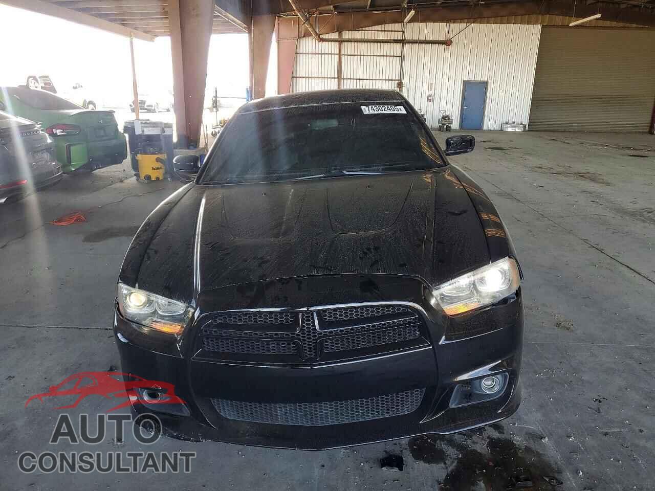 DODGE CHARGER 2013 - 2C3CDXCT7DH612749