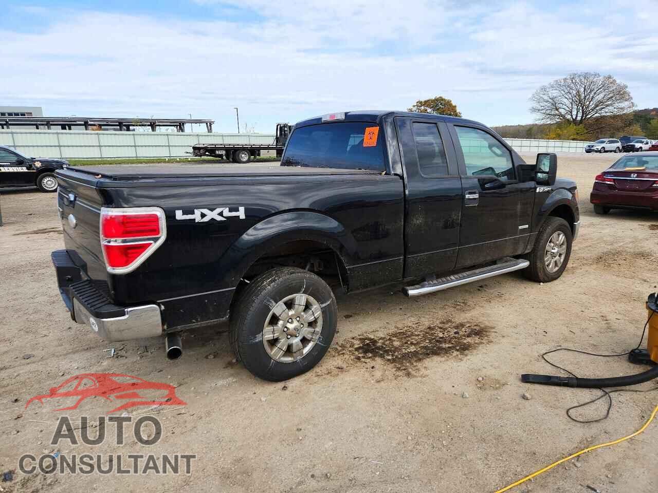 FORD F150 2011 - 1FTFX1ET8BFC56577