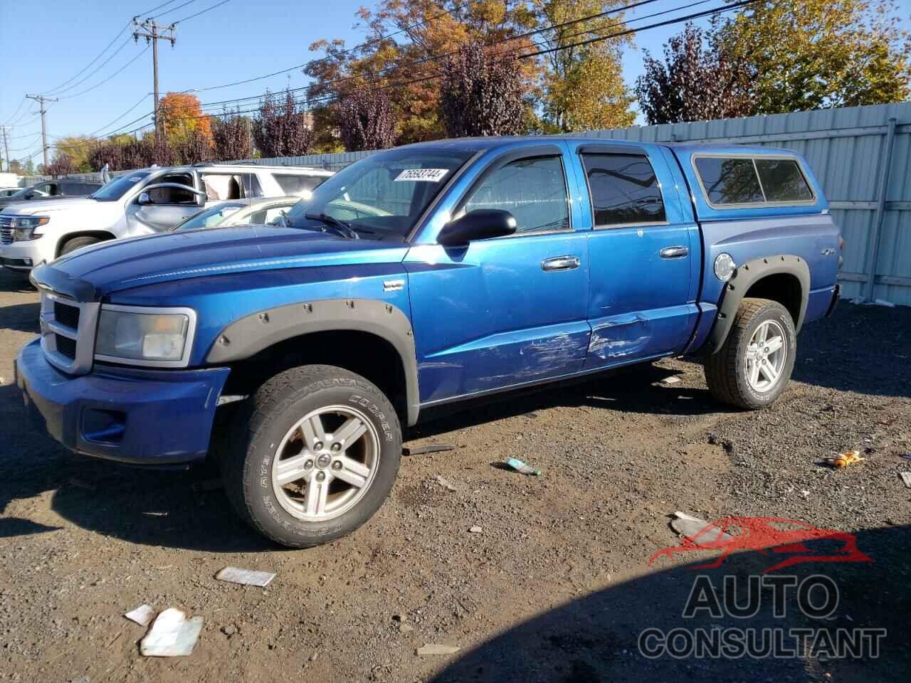 DODGE DAKOTA 2009 - 1D7HW38PX9S811459