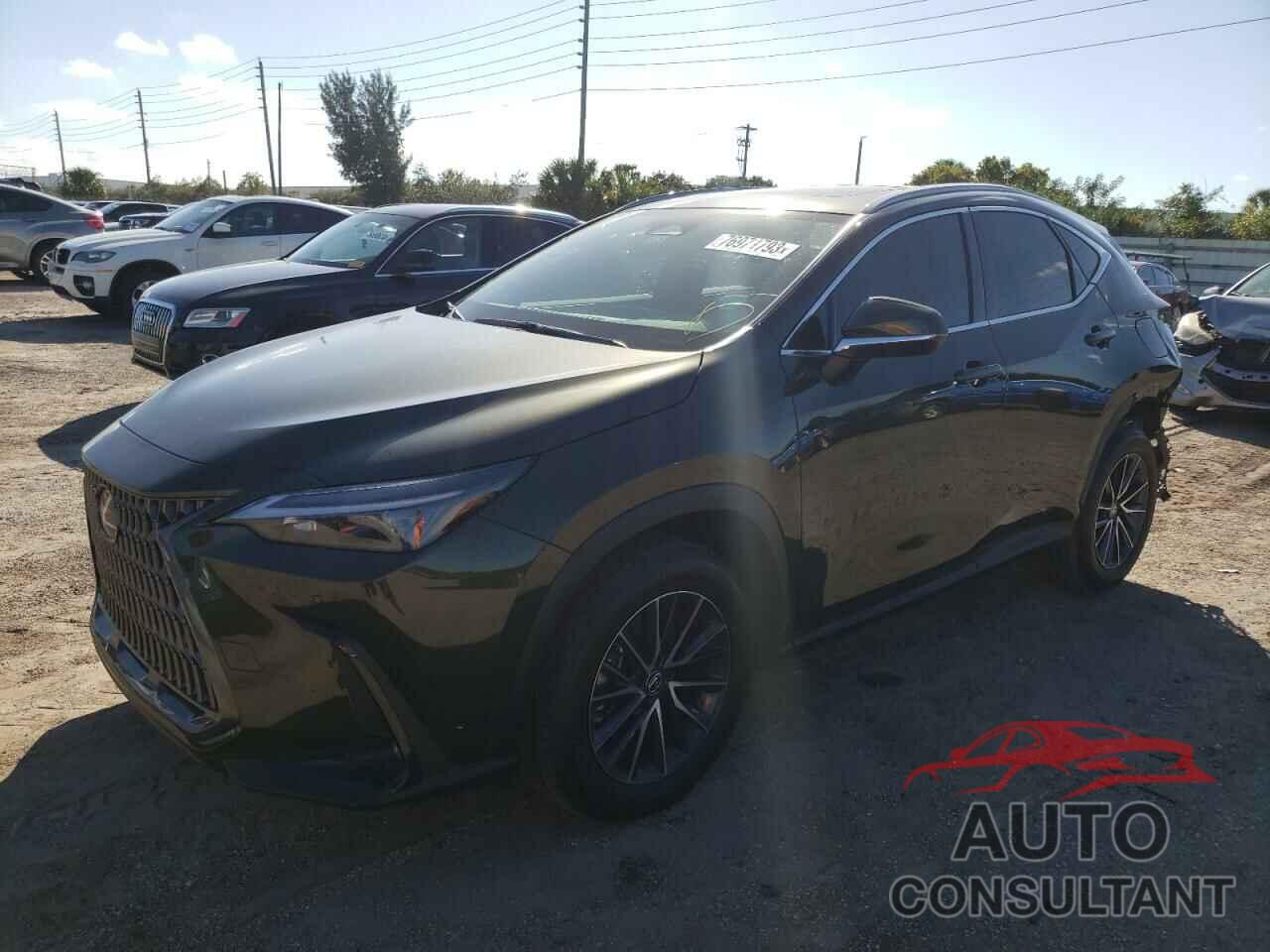 LEXUS NX 250 PRE 2024 - 2T2GDCAZ3RC010201