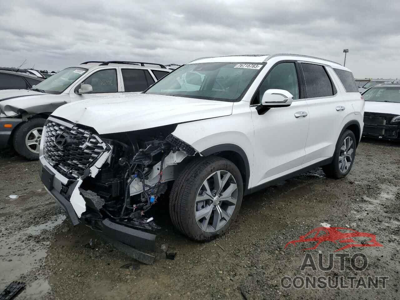 HYUNDAI PALISADE 2021 - KM8R44HE1MU234550