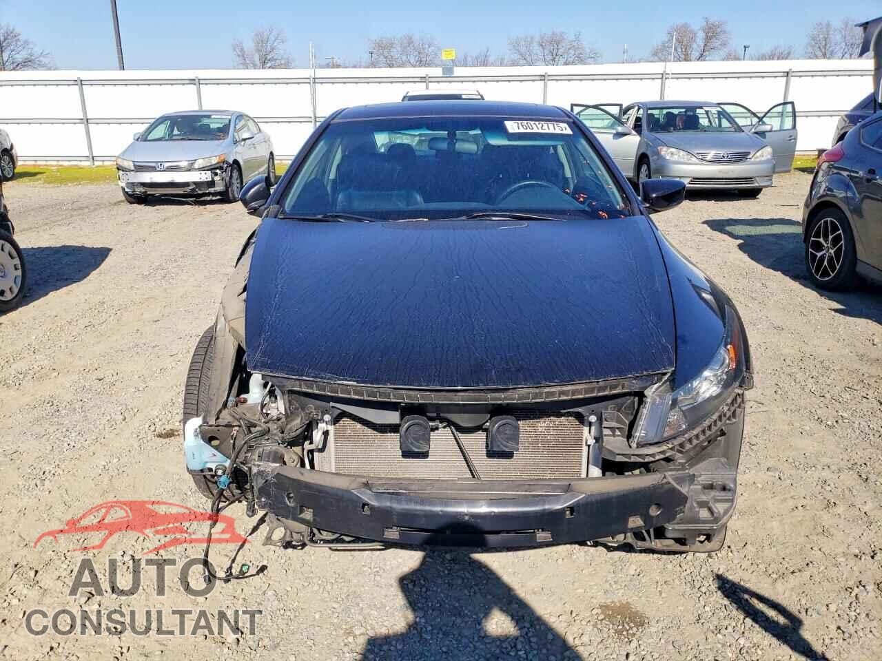HONDA ACCORD 2010 - 1HGCS1B87AA007735