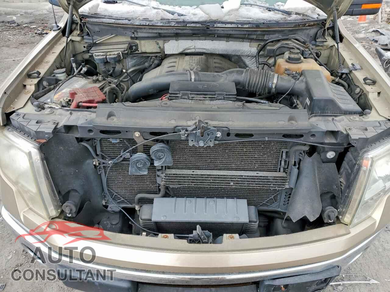 FORD F-150 2012 - 1FTFX1ET8CFB20418