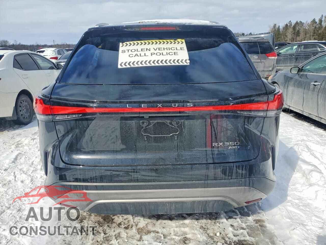 LEXUS RX350 2023 - 2T2BAMCA4PC028316