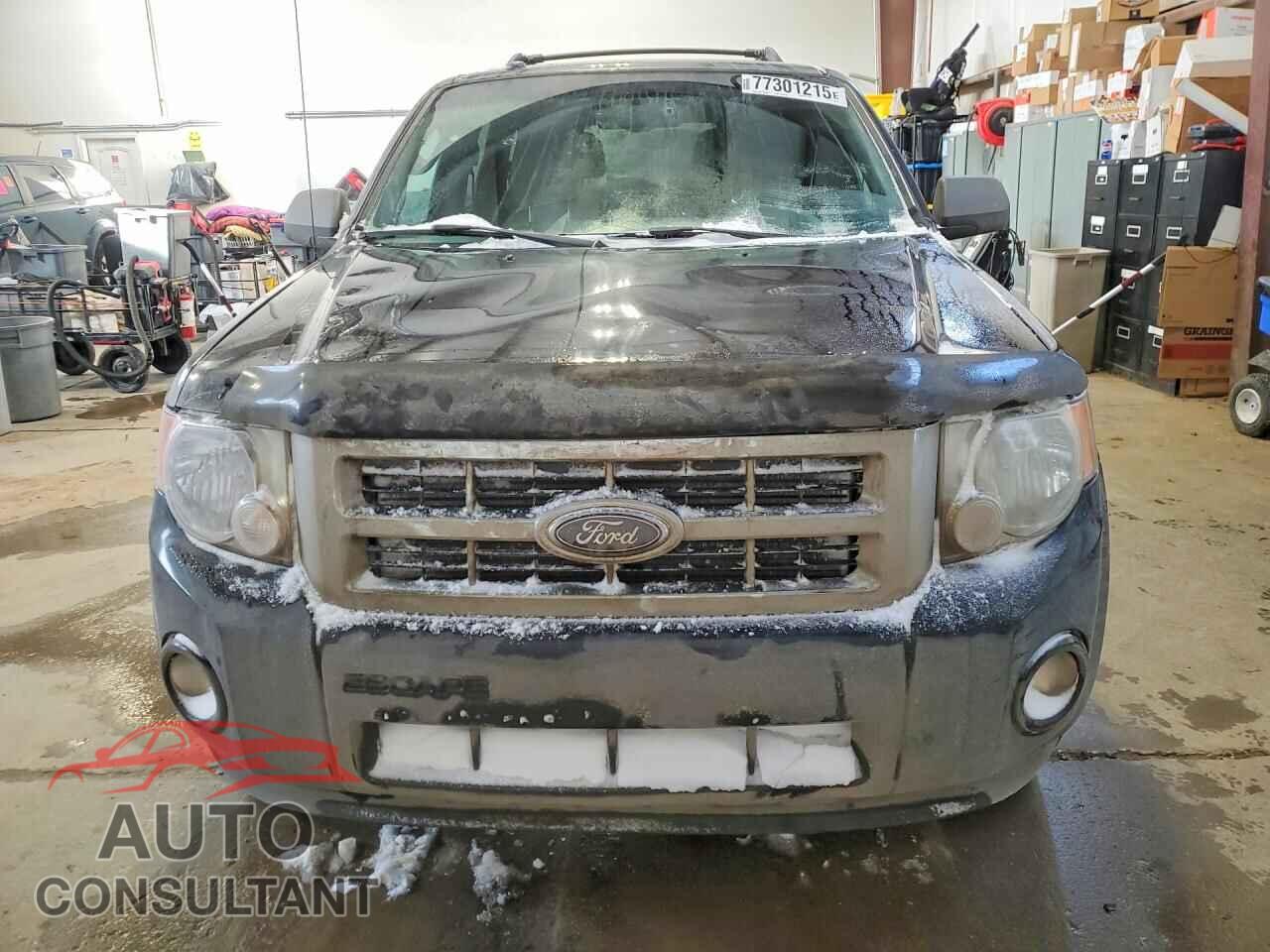 FORD ESCAPE 2010 - 1FMCU9DG0AKD29070