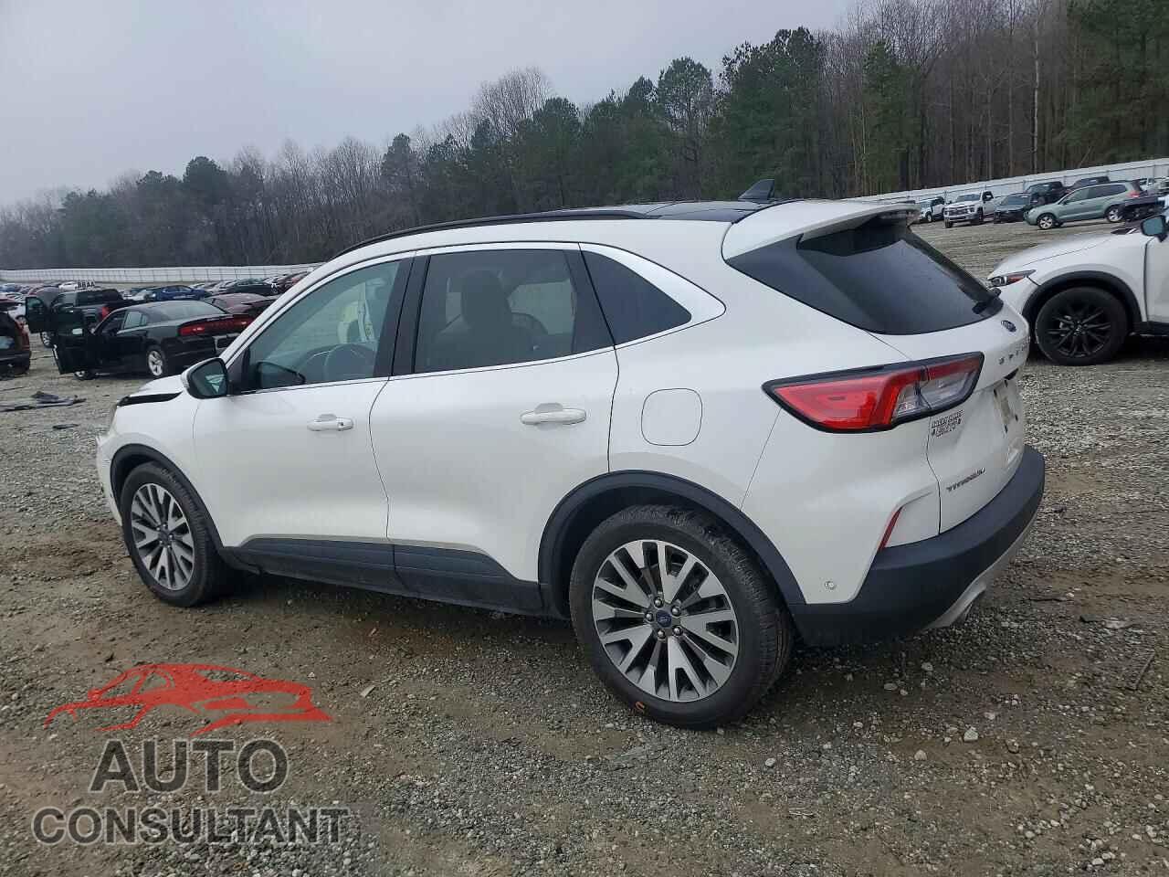 FORD ESCAPE 2020 - 1FMCU0DZ5LUA92158