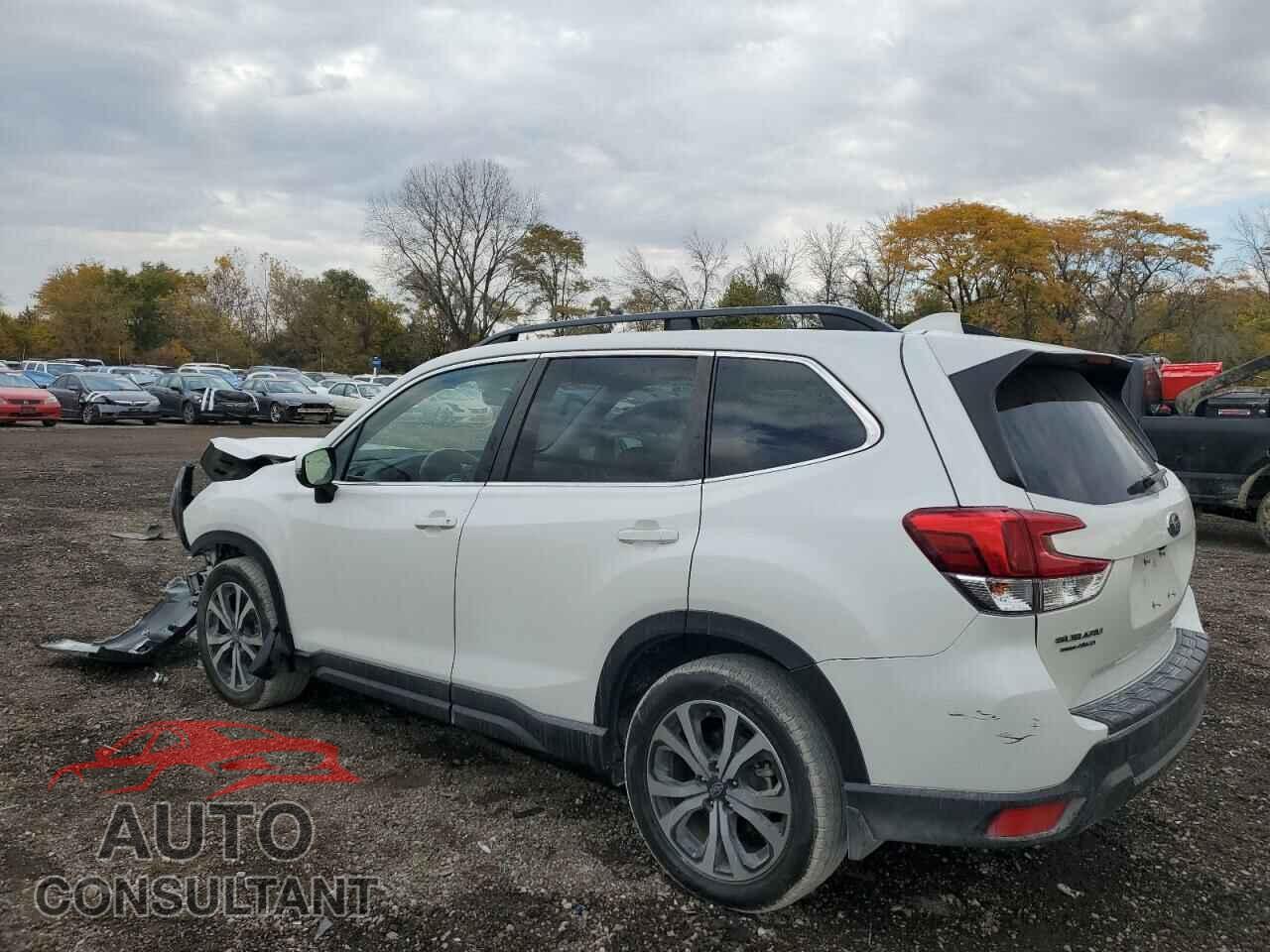 SUBARU FORESTER 2021 - JF2SKAUC2MH544571
