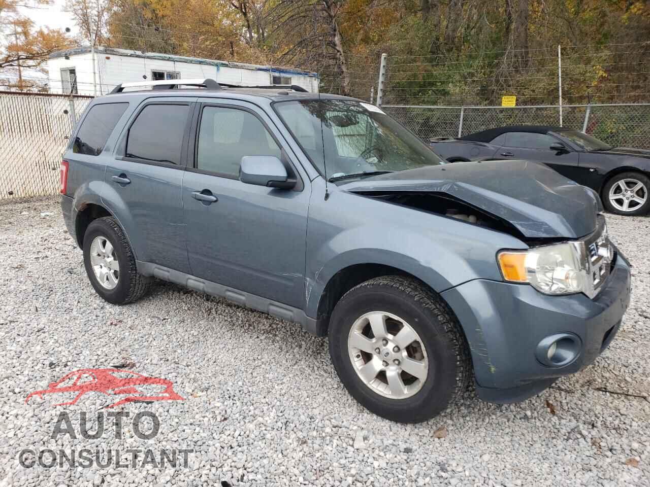 FORD ESCAPE 2011 - 1FMCU0E71BKC49353
