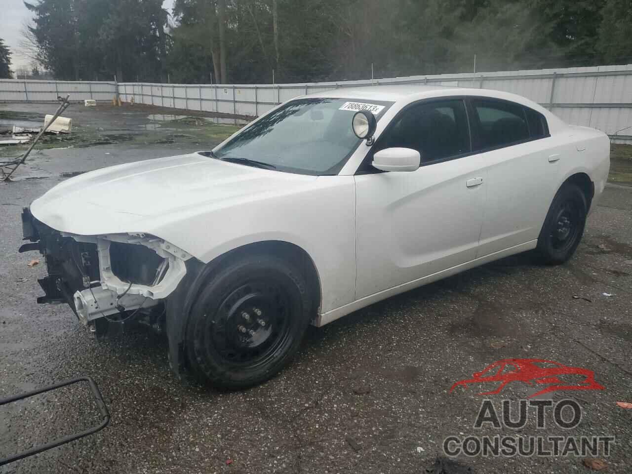 DODGE CHARGER 2019 - 2C3CDXKT4KH686029