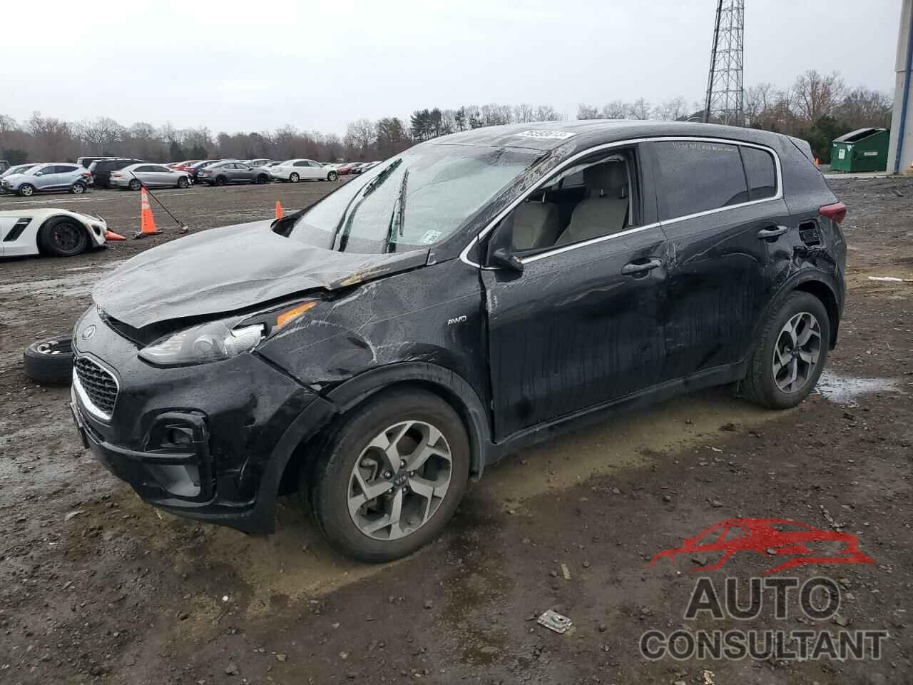 KIA SPORTAGE 2022 - KNDPMCAC6N7954375