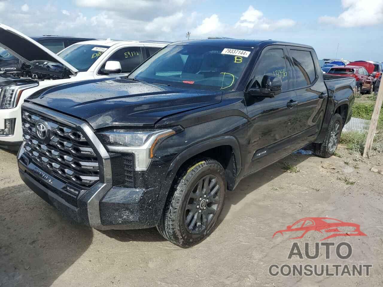 TOYOTA TUNDRA 2023 - 5TFNA5AB5PX026479