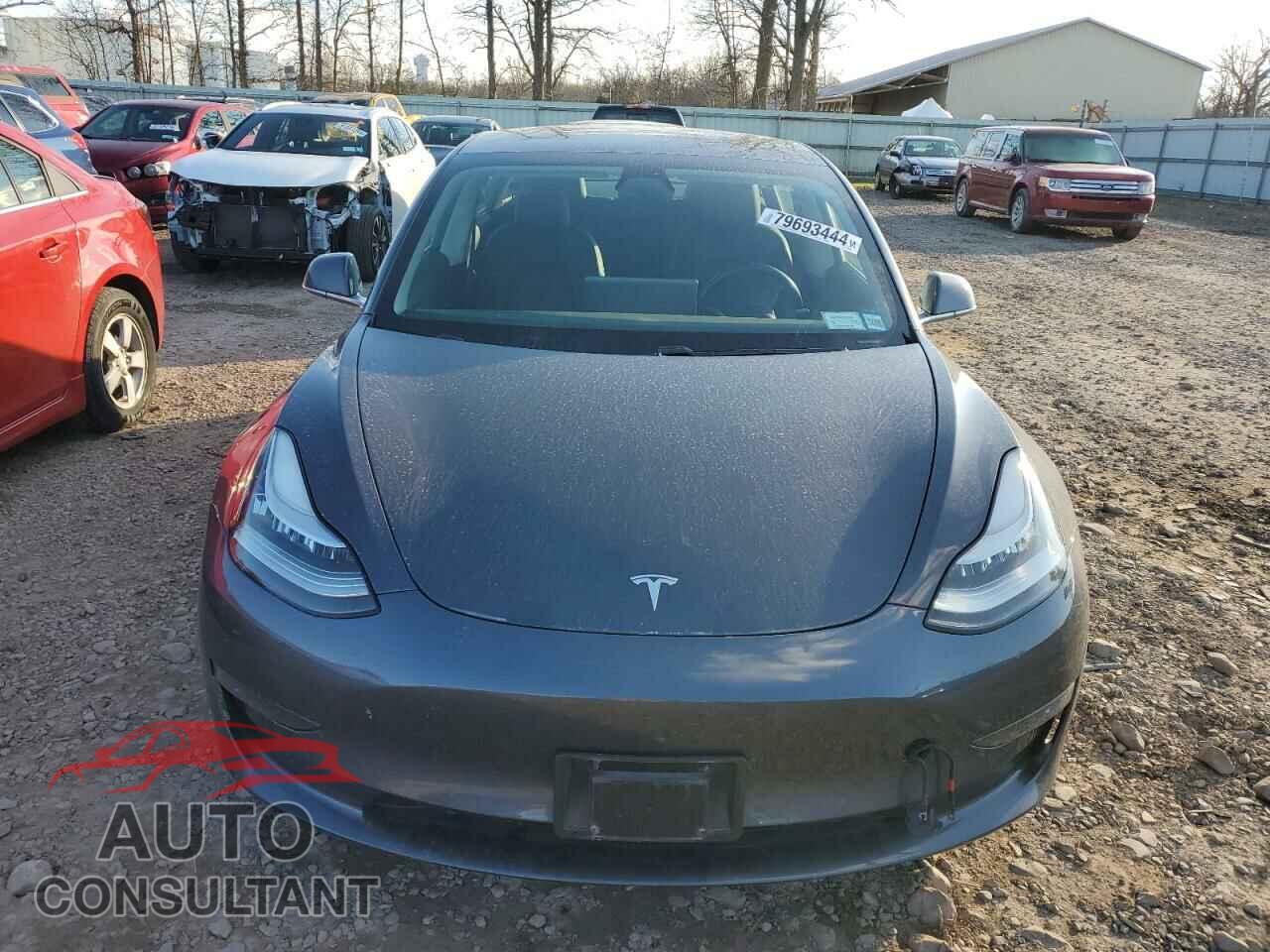 TESLA MODEL 3 2019 - 5YJ3E1EB3KF209865