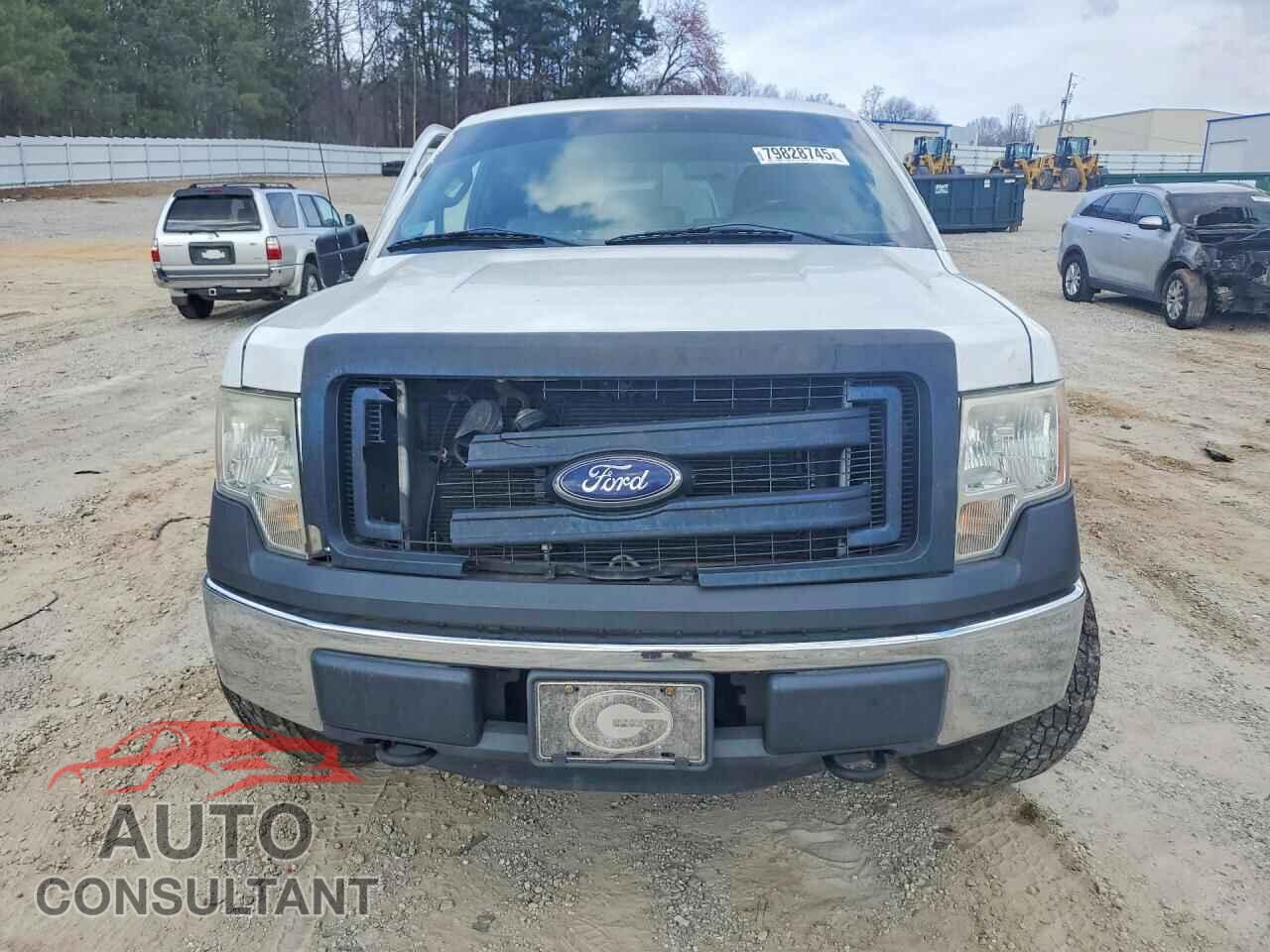 FORD F150 2013 - 1FTFX1EF4DFC53611