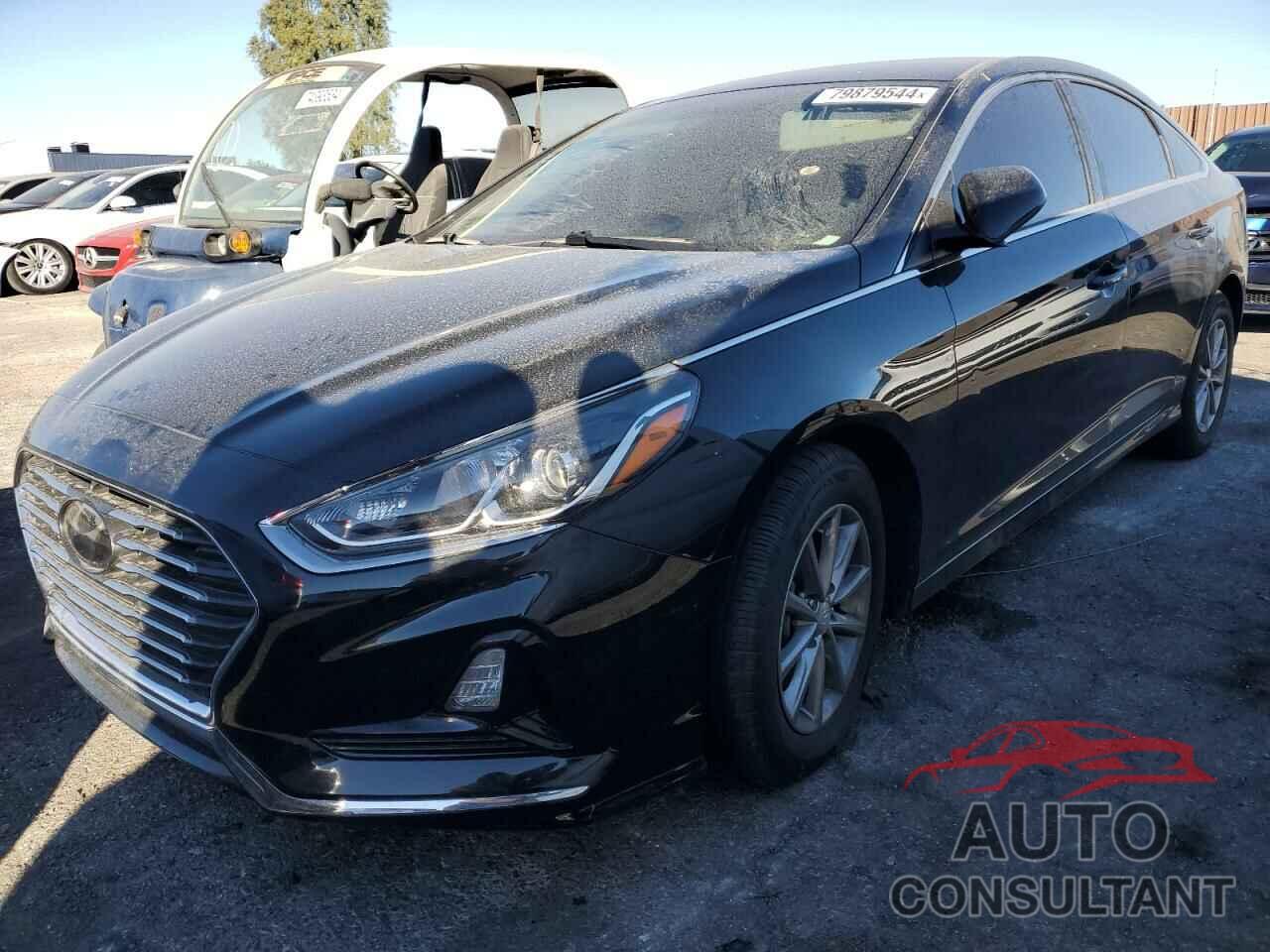 HYUNDAI SONATA 2019 - 5NPE24AF3KH762500