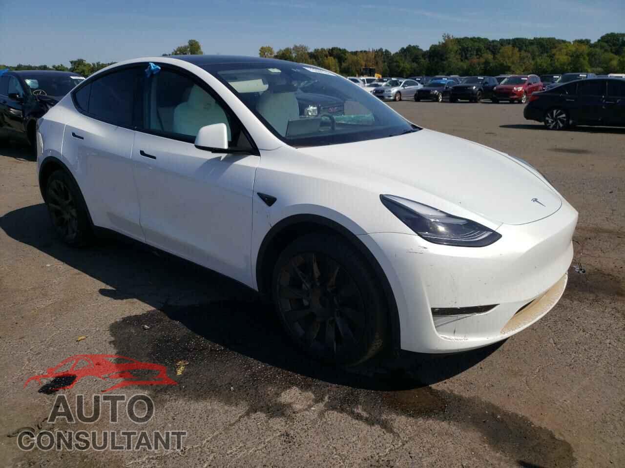 TESLA MODEL Y 2023 - 7SAYGDEE2PF757572