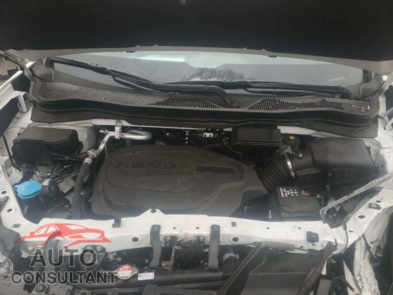HONDA RIDGELINE 2021 - 5FPYK3F84MB006815