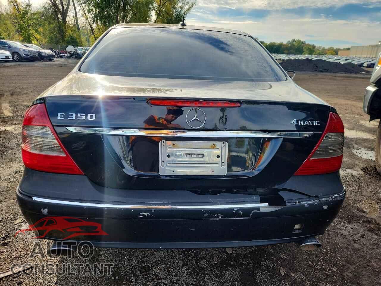 MERCEDES-BENZ E-CLASS 2009 - WDBUF87X19B422084